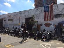 Indian Larry's Block Party, Brooklyn NY 2015