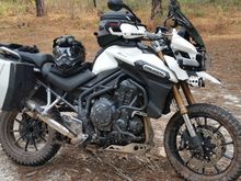 Tiger Explorer.  The panniers come off in seconds,  adjustable windshield,  140hp, 135 tq. Will pull a wheelie through 4th, 50mpg, and comfortable if you are tall. Only limitation is if you are vertically challenged it may be too big for you. Definitely not a beginner bike but you seem to have the experience.