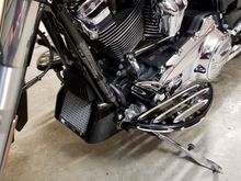 HD oil cooler cover, I think it looks great and actually adds real protection.