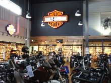 The new and used Harleys are plentiful!