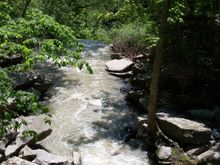 Upriver from the falls from a walk over bridge.