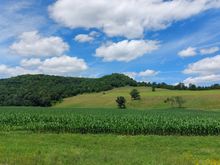 I wandered up into the driftless area of Wisconsin. 