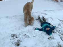 Snow Angel