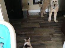 Why won’t that bitch love me?