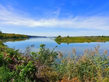 Just outside Starved Rock State Park.