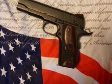 Dan Wesson Guardian .45