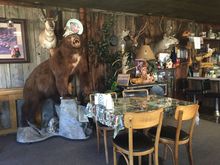After the top of the pass. 7,100 ft, and an open valley, I had lunch with this guy. Funny story, they had no potato's. So I said "I am in Idaho, right" she says "uhuh" I said "and you got no potato'". Everyone in the restaurant burst out laughing.