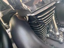 Head fin chip