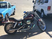 1983 FXDG before pic.