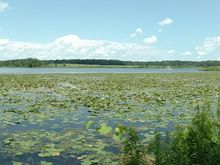 Looks like a nice day on the lake.