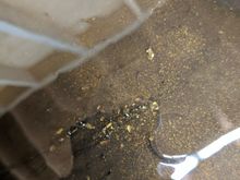 This cam out of the filter, looks like I'm panning for gold