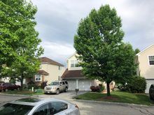 Gonna being seeing these skies all weekend...