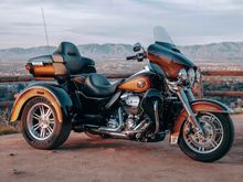 Harley Tri Glide in Tobacco