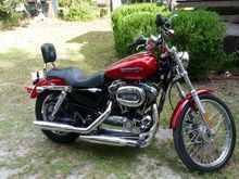 2008 Sportster 1200C