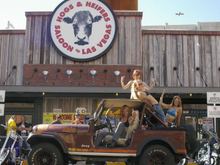 IGP3959 1

What happens in Vegas, Stays in Vegas... lol. Compliments of Father John