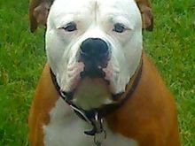 This is his nice face.