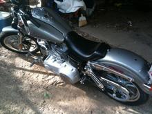 alvins pics 329