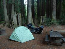 Nor Cal Redwoods Camp
