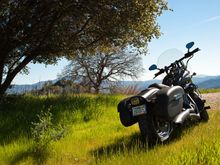 2010 Fat Bob