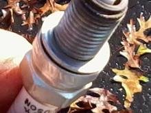sparkplugs