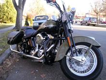 2007 springer