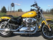 2007 Harley Davidson® Sportster® 1200 Low XL1200L