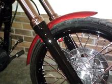 IMAG0533 painted fork legs