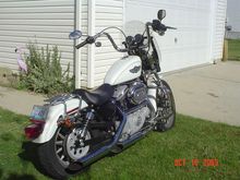 Stacy 2003 1200 Sportster (10)