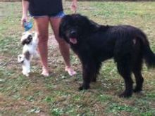 My Teddy and Blake!!