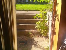IMG 00000311