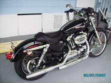 08 sportster