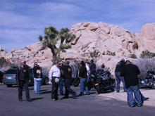 IMG 7867 01
One stop in Joshua Tree