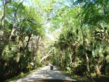 DSC00784
A scenic highway