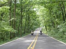 Pig Trail Scenic highway.
Hwy 23 is 30 miles of twist and turns. It has been written up in several magazines as Arkansas's best road.