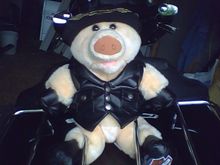 One of my Riding partners
 He looks Good here. Went through wreck with my wife and I  on 8/1/2009. He looks a little rougher now. Looks like a real pig.(DIRTY) Can't clean him up. He now wears the Grimlin Bell around his neck, that was on that bike.