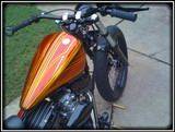 th IMG 2010 1