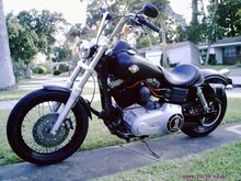 street bob 063