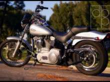 Mi Ole Softail before she was made into Frankenstein's wife.