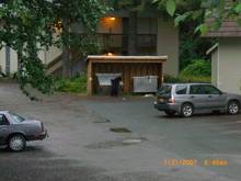 Black bear trying to open first dumpster