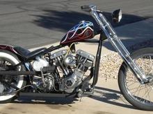 SPRINGER6