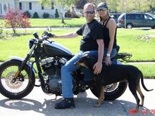 Us on the Sportster with the dog