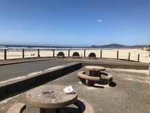 Hmm, nothing says great fish and chips like a seagull shit covered picnic table!