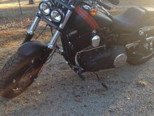 The Day I brought it home