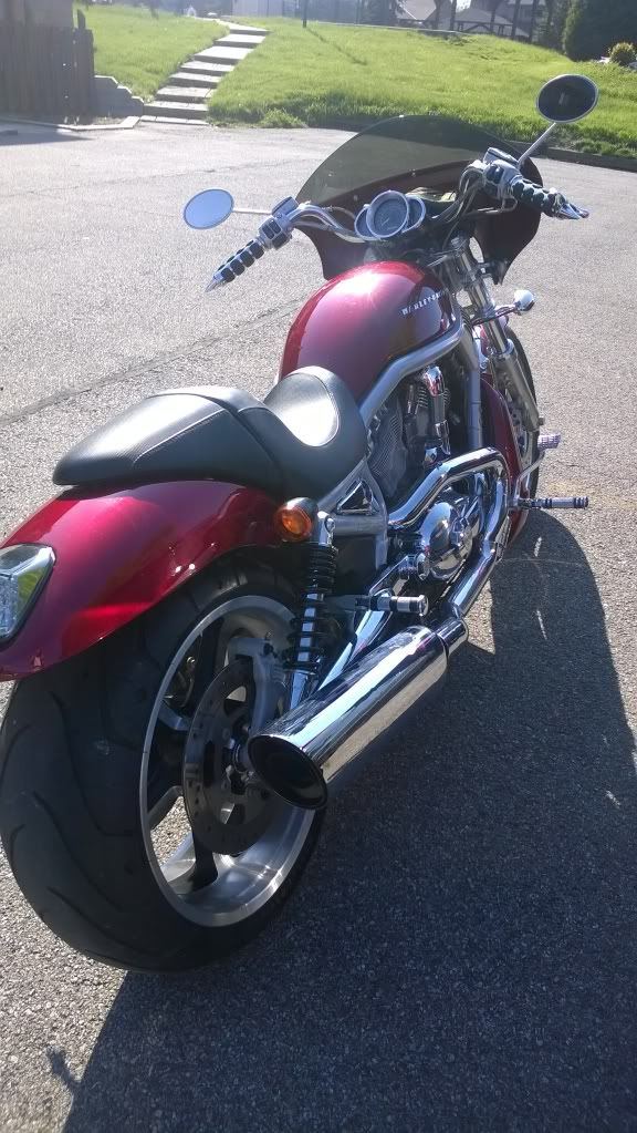 sportster buckhorn bars