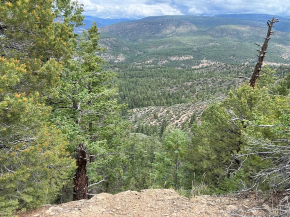 View from the path looking eastward