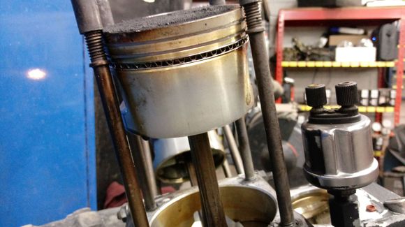 Skirts look pretty good to me. Just oily carbon on piston tops. Standard bore