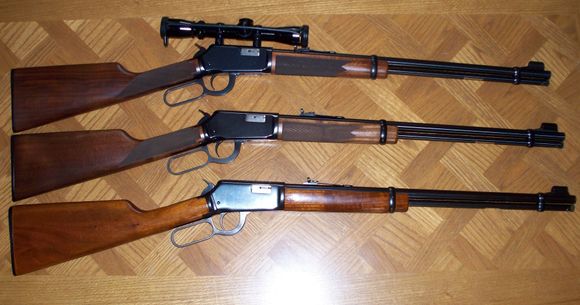 Winchester 94-22 magnum
Winchester 94-17 HMR
Winchester 94-22 Long rifle