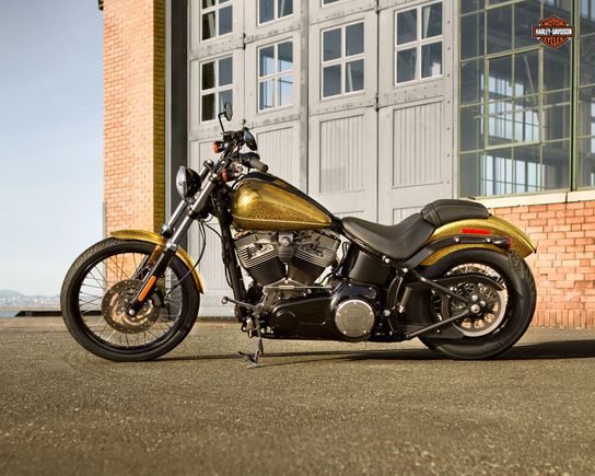 My reluctant Trade. 2013 Softail (Blackline)