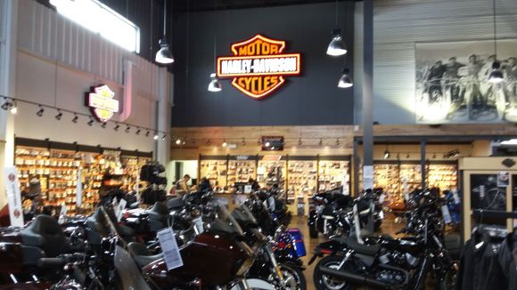 The new and used Harleys are plentiful!