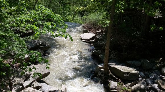 Upriver from the falls from a walk over bridge.